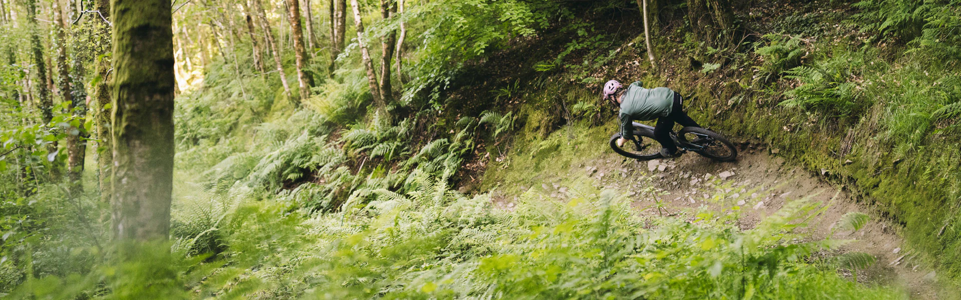 Welcome to Our Store